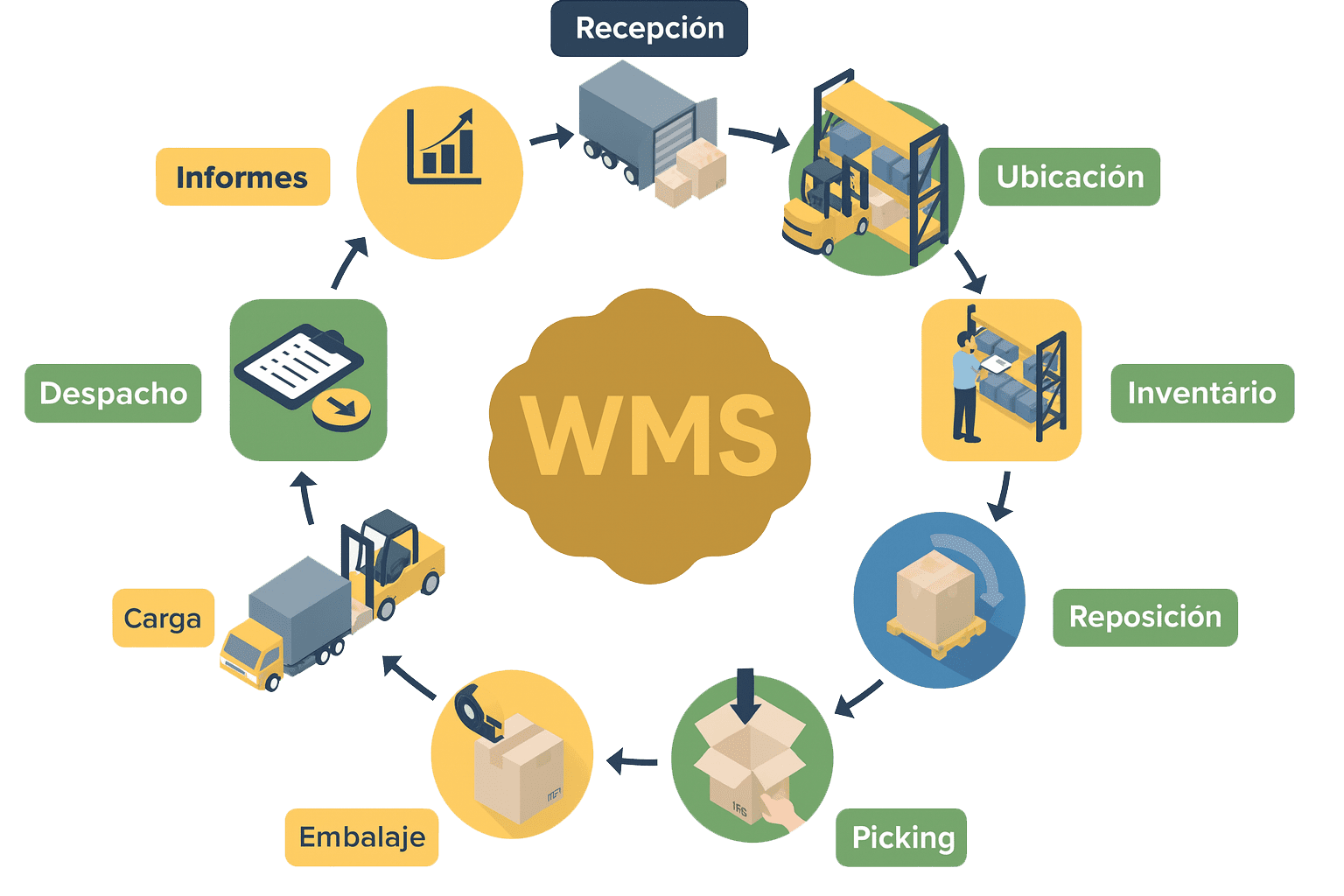 Infografía de sistema de gestión de almacenes WMS mostrando las etapas de recepción, almacenamiento, inventario, reposición, picking, empaque, carga, despacho y reportes.